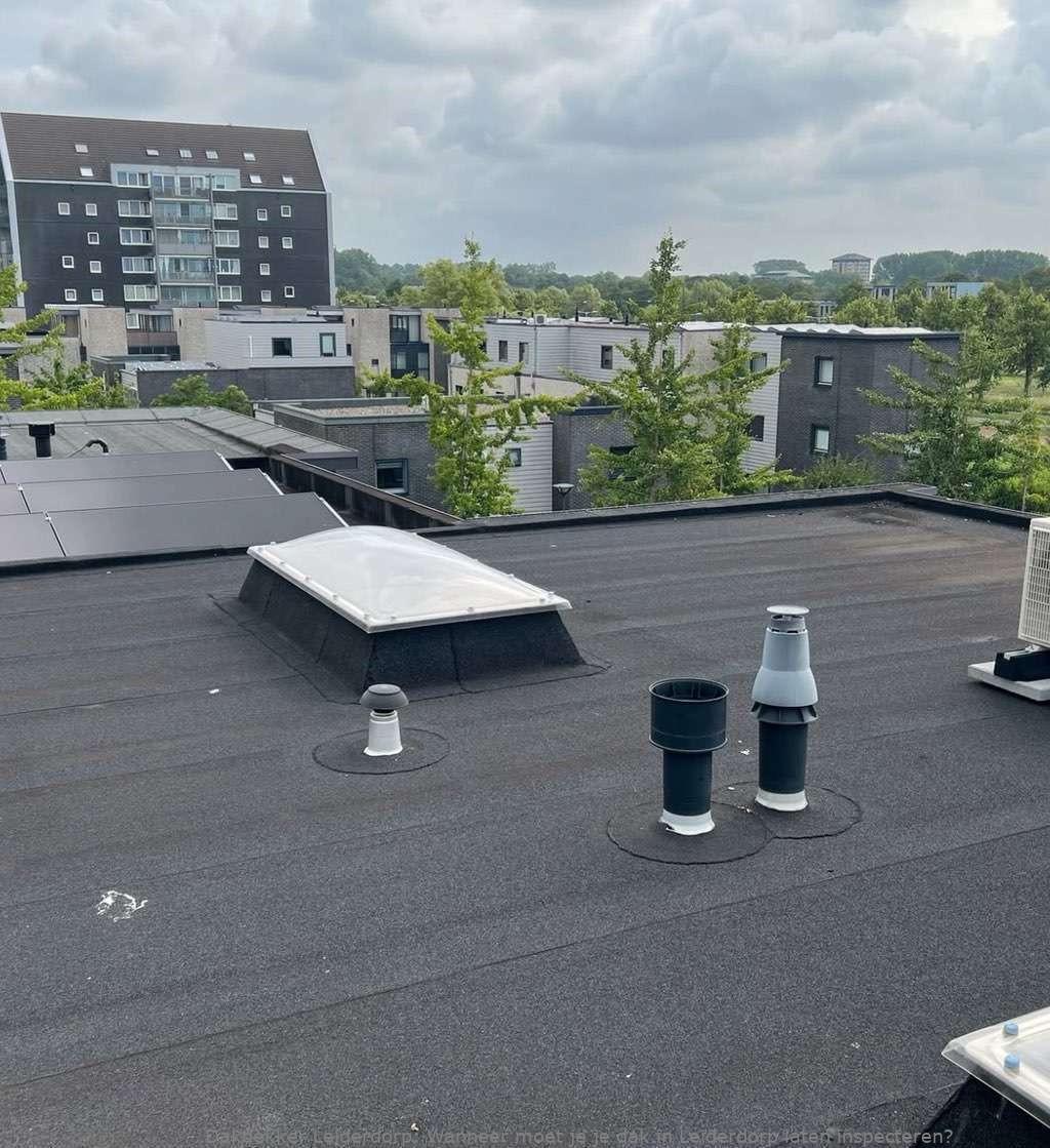 Dak Laten Inspecteren Leiderdorp