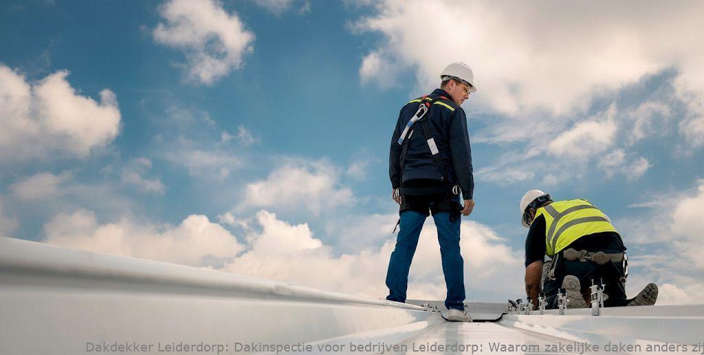 Dakinspectie Voor Bedrijven Leiderdorp
