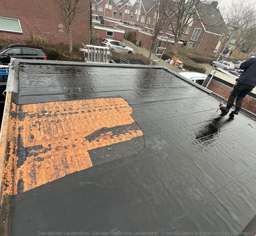 Dakleer Reparatie Leiderdorp