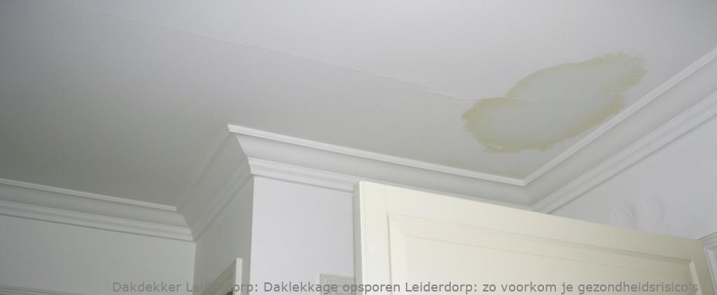 Daklekkage Opsporen Leiderdorp 1