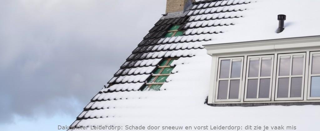 Schade Door Sneeuw En Vorst Leiderdorp