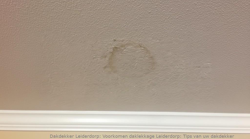 Voorkomen Daklekkage Leiderdorp