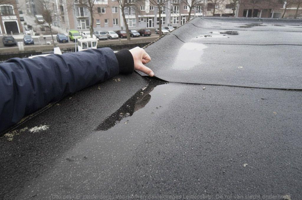 Voorkomen Daklekkages Leiderdorp